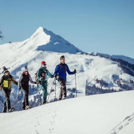 Apartment In Fuegen Near Hochzillertal Skiing, Cleaning Included * Fuegen